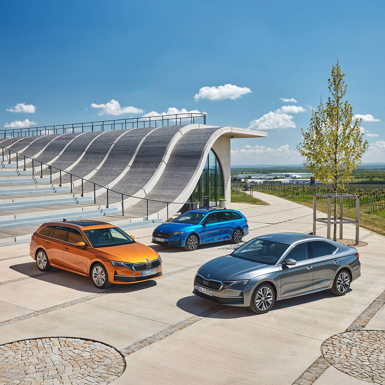 BM_Section-image_1280x1280_Flota_02